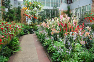 Aménager un jardin
