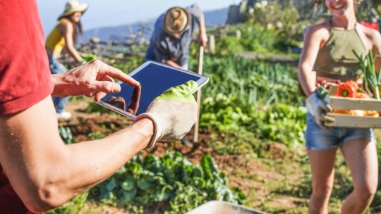 Plan 3D : pour imaginer et planifier son jardin