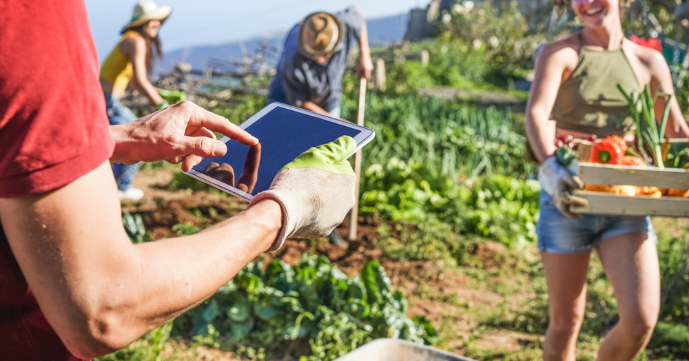 Plan 3D : pour imaginer et planifier son jardin