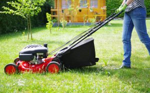 tondeuse pour grande pelouse