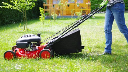 Quelle tondeuse choisir pour une grande pelouse ?