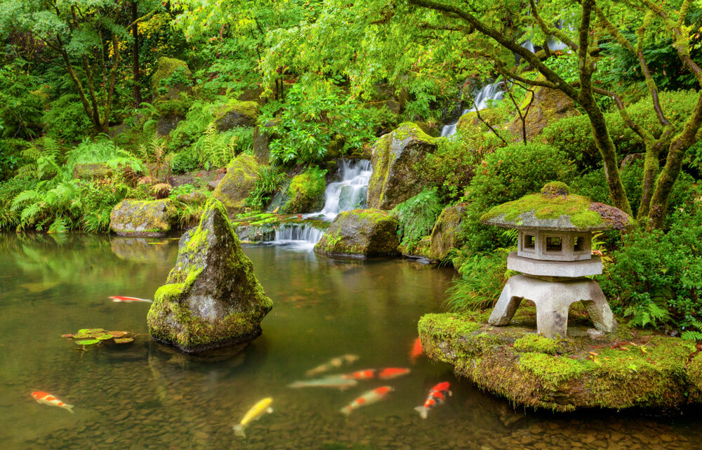 Comment réussir un jardin d’eau ?