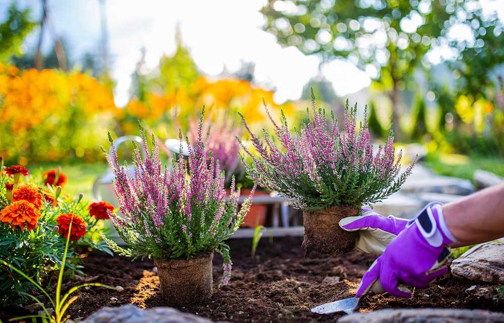 Règles à respecter pour réussir l’aménagement de son jardin