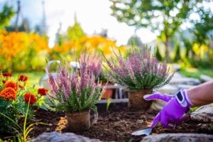 Règles à respecter pour réussir l’aménagement de son jardin