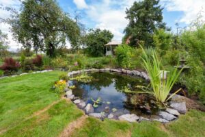 Qui consulter pour aménager un bassin de jardin