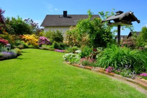 aménagement de votre jardin