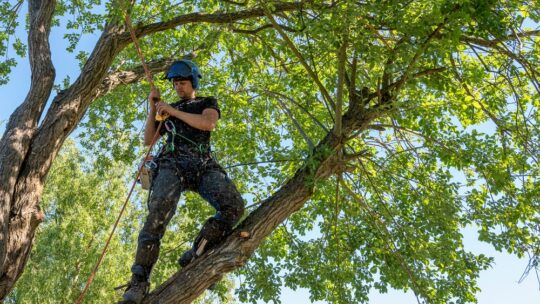 Les secrets d’un débroussaillage efficace : bien choisir sa débroussailleuse et ses équipements pour l’entretien des terrains