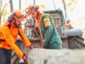 Guide d’achat : équipements pour le débroussaillage et l’abattage en forêt