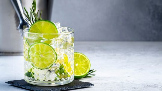 Cocktails raffinés à base de gin : recettes irrésistibles pour impressionner vos invités